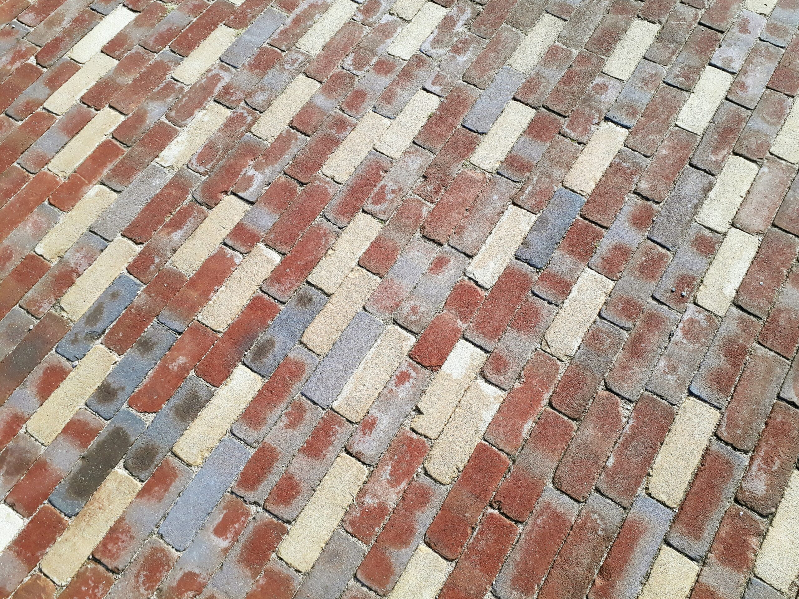 Layer of Shingles