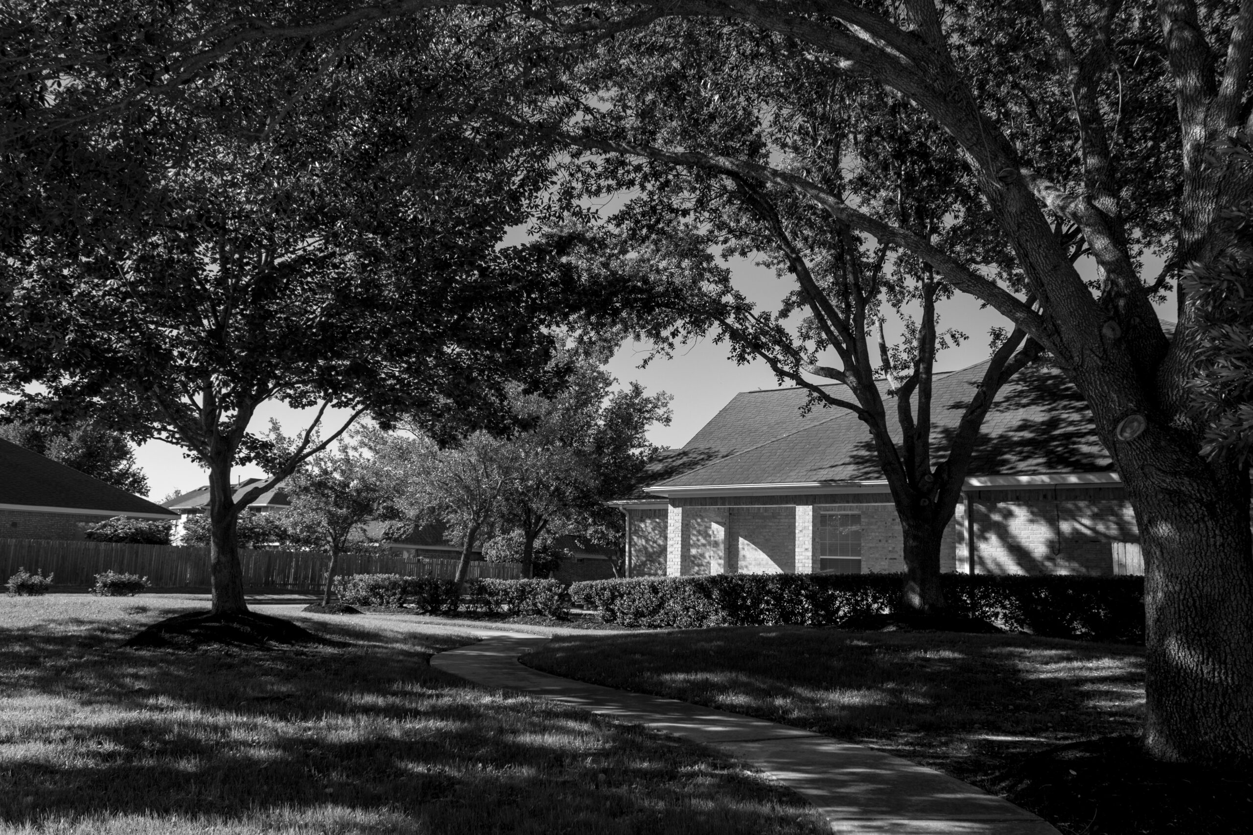 Large Trees