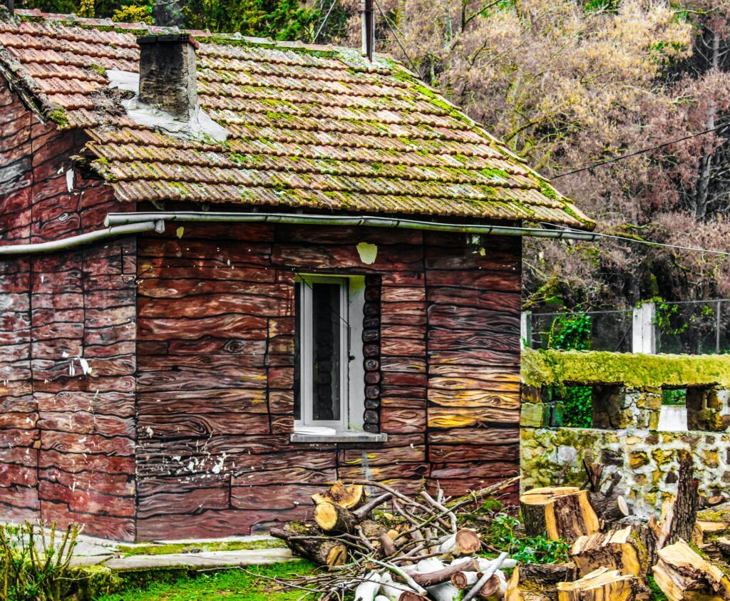 A green roof system