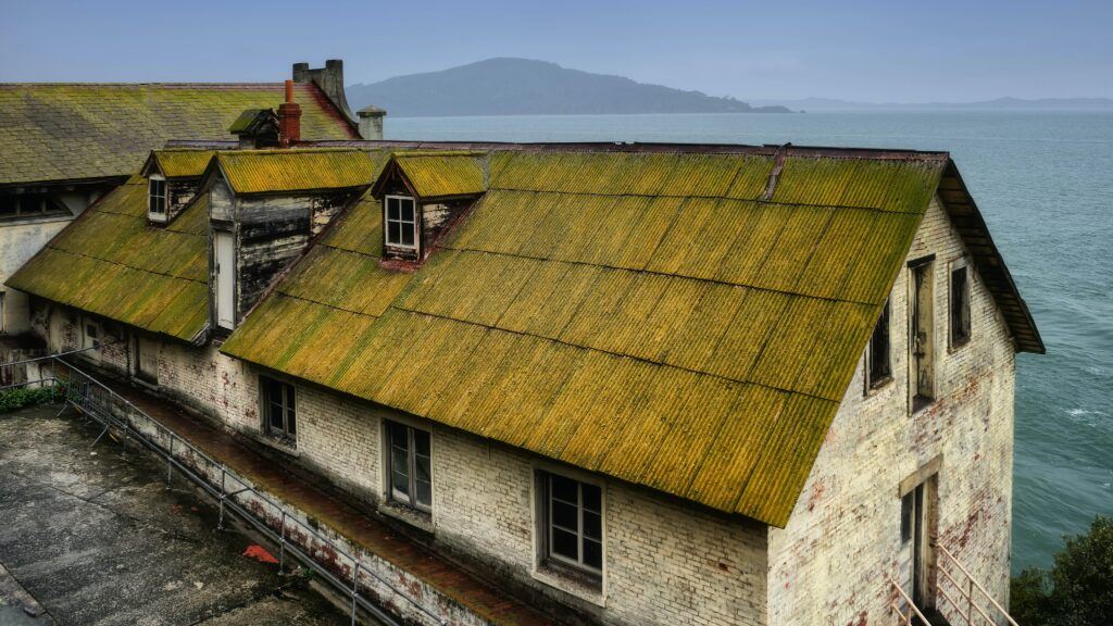 Large green roofs